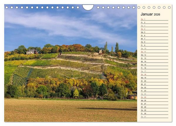 Produktbild: Saale-Unstrut - Region aus Wein und Stein (Wandkalender 2026 DIN A4 quer), CALVENDO Monatskalender