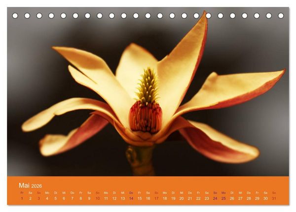 Produktbild: Fantastische Reise in die Welt der Blumen (Tischkalender 2026 DIN A5 quer), CALVENDO Monatskalender