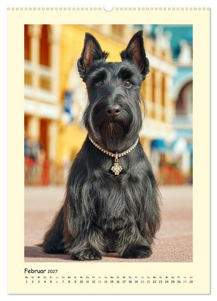 Produktbild: Scottish Terrier. W&uuml;rdevoller und robuster Gentlemen (hochwertiger Premium Wandkalender 2027 DIN A2 hoch), Kunstdruck in Hochglanz