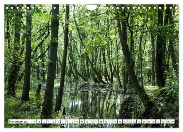 Produktbild: Fischland-Dar&szlig;-Zingst - Momente einer Reise (Wandkalender 2027 DIN A4 quer), CALVENDO Monatskalender