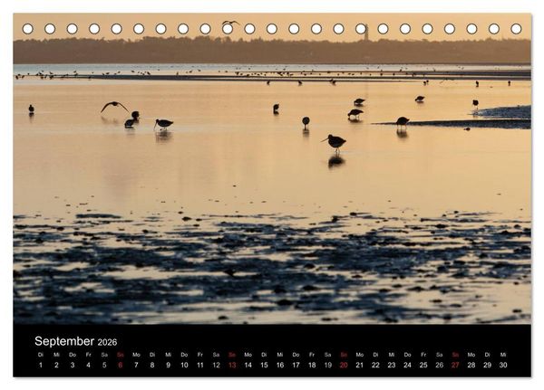 Produktbild: Sylt-Abende - Fotografien von Beate Zoellner (Tischkalender 2026 DIN A5 quer), CALVENDO Monatskalender