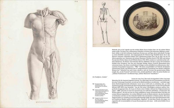 Produktbild: Die Portr&auml;tsammlung der Dr. Senckenbergischen Stiftung