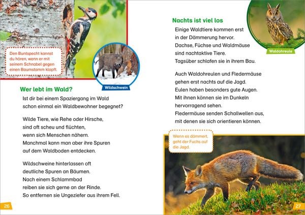 Produktbild: WAS IST WAS Erstes Lesen Band 4. Natur entdecken