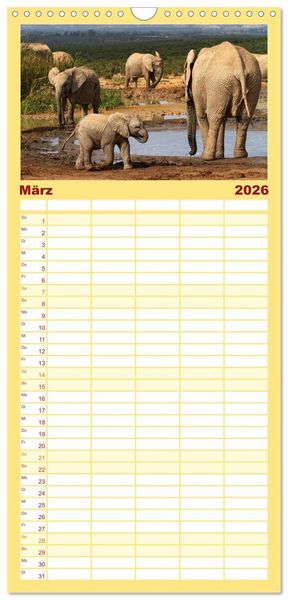 Produktbild: Familienplaner 2026 - Afrikas Tierwelt: Elefantenbabys mit 5 Spalten (Wandkalender, 21 x 45 cm) CALVENDO