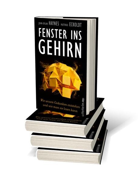 Produktbild: Fenster ins Gehirn