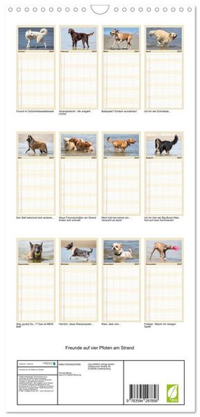 Produktbild: Familienplaner 2027 - Freunde auf vier Pfoten am Strand mit 5 Spalten (Wandkalender, 21 x 45 cm) CALVENDO