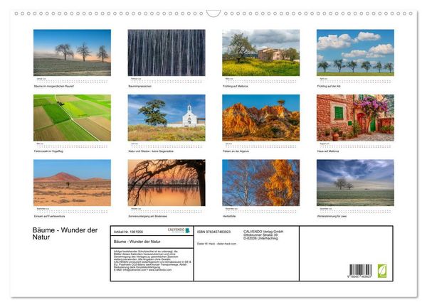 Produktbild: B&auml;ume - Wunder der Natur (Wandkalender 2026 DIN A2 quer), CALVENDO Monatskalender