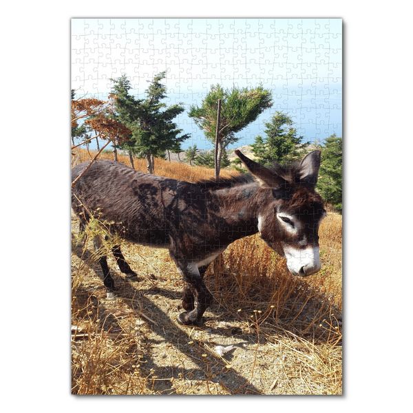 Produktbild: Lais Puzzle Esel 500 Teile