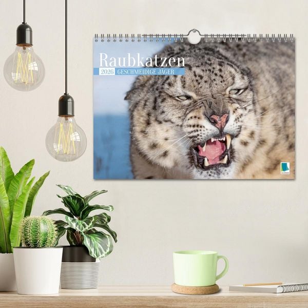 Produktbild: Raubkatzen: Geschmeidige J&auml;ger (Wandkalender 2026 DIN A4 quer), CALVENDO Monatskalender