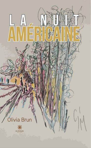 Produktbild: La nuit am&eacute;ricaine