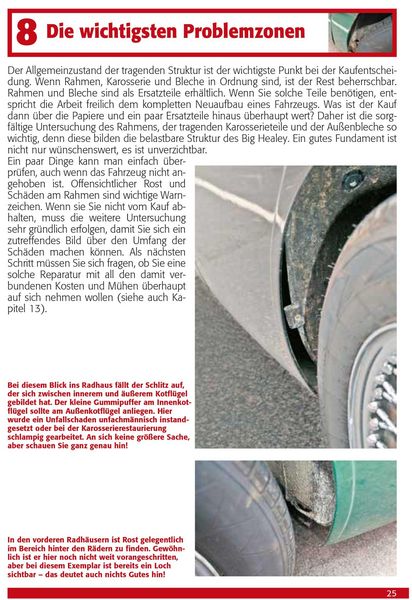 Praxisratgeber Klassikerkauf Austin Healey