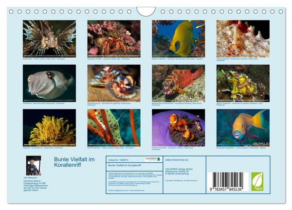 Produktbild: Bunte Vielfalt im Korallenriff (Wandkalender 2026 DIN A4 quer), CALVENDO Monatskalender