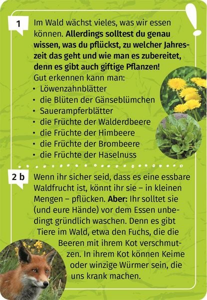 Produktbild: Expedition Natur Mein Wald-Forscherquiz