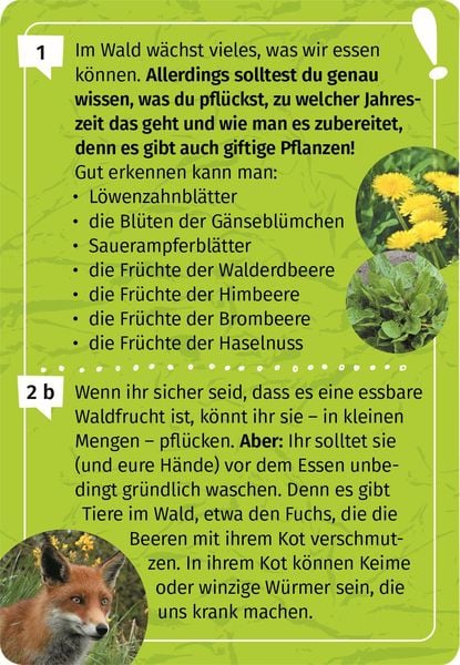 Produktbild: Mein Wald-Forscherquiz