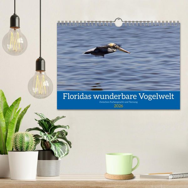 Produktbild: Floridas wunderbare Vogelwelt (Wandkalender 2026 DIN A4 quer), CALVENDO Monatskalender