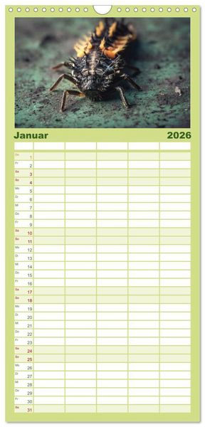 Produktbild: Familienplaner 2026 - Makrowelten Tierreich mit 5 Spalten (Wandkalender, 21 x 45 cm) CALVENDO