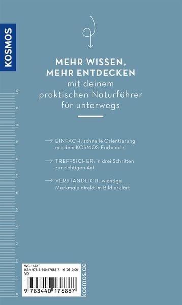 Produktbild: Basic Strand und K&uuml;ste