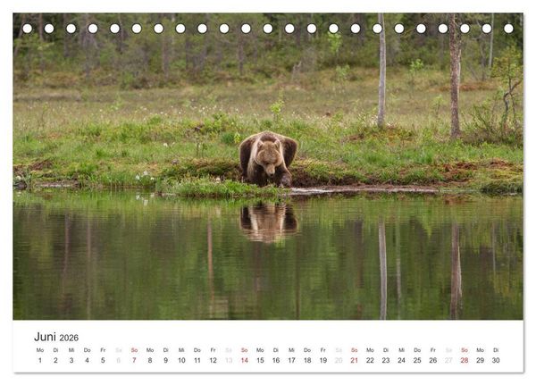 Produktbild: Naturparadies Finnland (Tischkalender 2026 DIN A5 quer), CALVENDO Monatskalender
