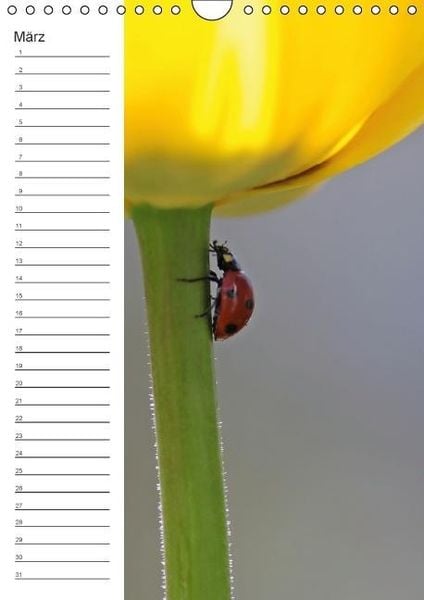Produktbild: Tierische Kleinigkeiten / Geburtstagskalender (Wandkalender immerw&auml;hrend DIN A4 hoch)