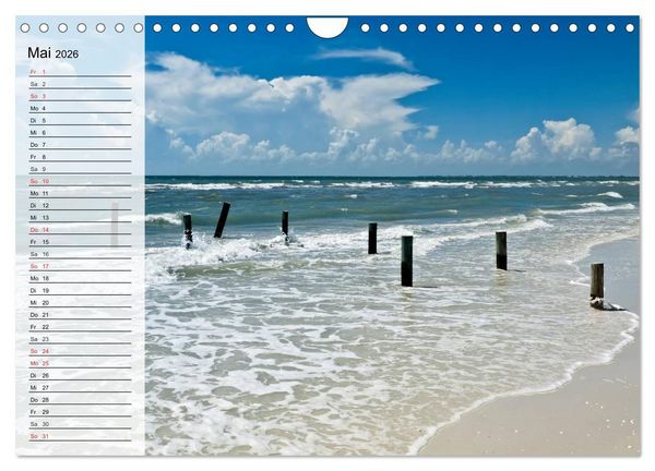 Produktbild: FLORIDA Idyllischer Sonnenscheinstaat (Wandkalender 2026 DIN A4 quer), CALVENDO Monatskalender