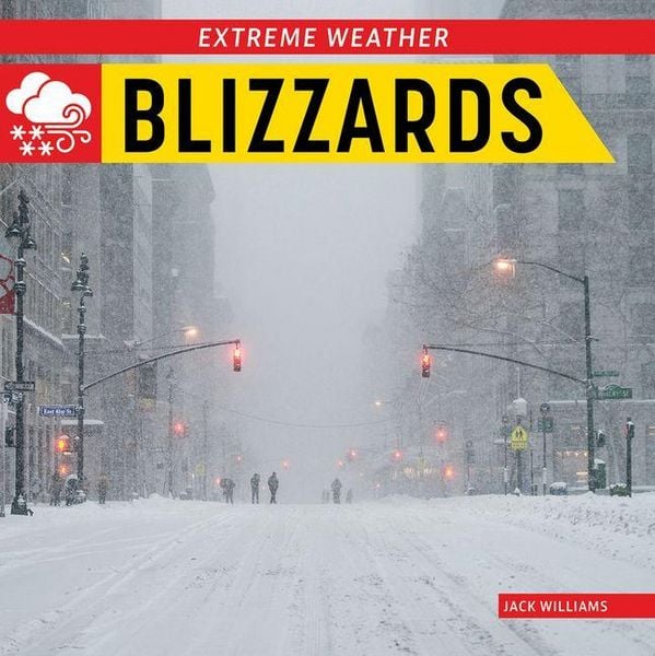 Produktbild: Blizzards