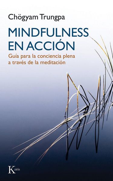 Produktbild: Mindfulness en acci&oacute;n : gu&iacute;a para la conciencia plena a trav&eacute;s de la meditaci&oacute;n
