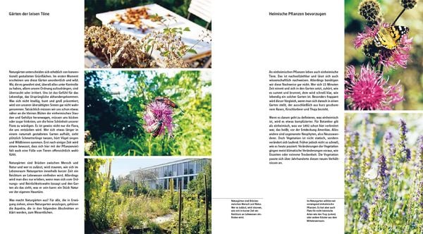 Produktbild: Der gestaltete Naturgarten