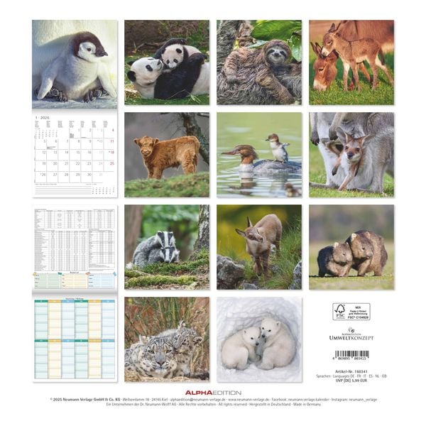 Produktbild: Tierbabys 2026 - Broschürenkalender 30x30 cm (30x60 geöffnet) - Kalender mit Platz für Notizen - Baby Animals - Bildkalender - Wandplaner - Alpha Edit