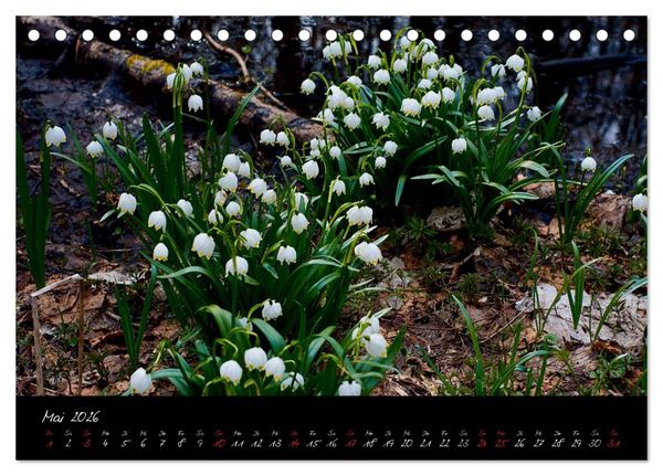 Produktbild: RH&Ouml;N = SCH&Ouml;N (Tischkalender 2026 DIN A5 quer), CALVENDO Monatskalender