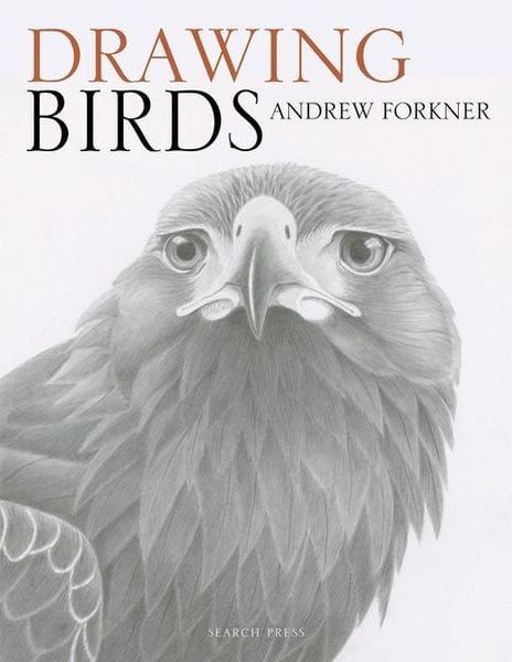 Produktbild: Drawing Birds