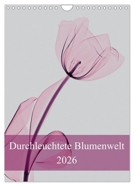 Produktbild: Durchleuchtete Blumenwelt 2026 (Wandkalender 2026 DIN A4 hoch), CALVENDO Monatskalender