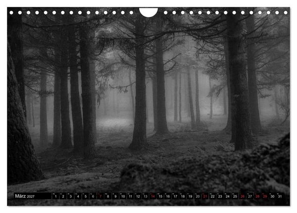 Produktbild: Stille Momente in Schwarz-Weiss (Wandkalender 2027 DIN A4 quer), CALVENDO Monatskalender