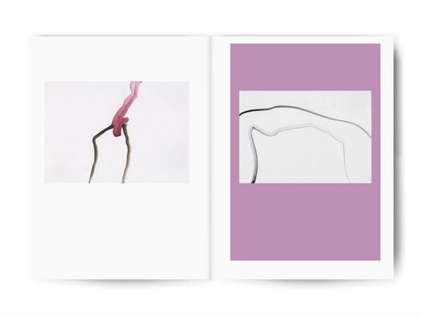 Produktbild: The red that longs to soften into rose
