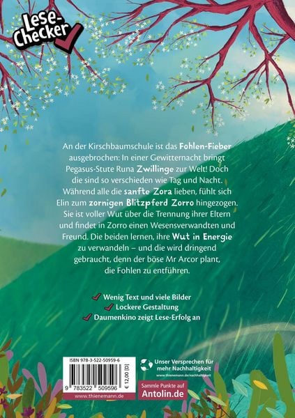Produktbild: Die Schule der Herzenspferde 3: Zorro & Elin