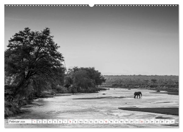 Produktbild: Emotionale Momente: Elefanten in black & white (hochwertiger Premium Wandkalender 2026 DIN A2 quer), Kunstdruck in Hochglanz