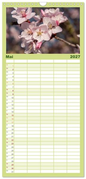 Produktbild: Familienplaner 2027 - Fr&uuml;hlingsbl&uuml;her - Farbenpracht nach dem Winter mit 5 Spalten (Wandkalender, 21 x 45 cm) CALVENDO