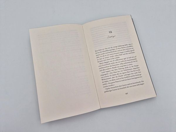 Produktbild: The Finisher &ndash; Du bist sein Verh&auml;ngnis
