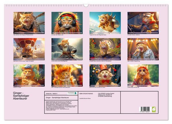 Produktbild: Ginger - Samtpfotiger Abenteurer (Wandkalender 2026 DIN A2 quer), CALVENDO Monatskalender