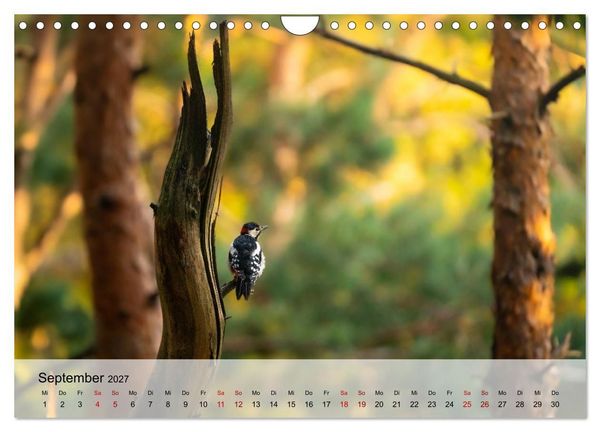 Produktbild: Magische Tiermomente (Wandkalender 2027 DIN A4 quer), CALVENDO Monatskalender
