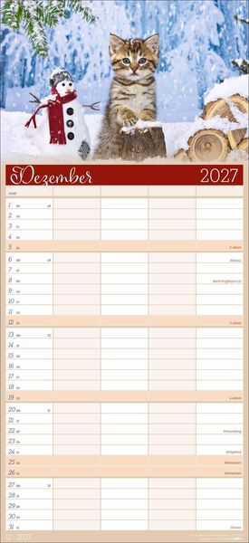 Produktbild: Cool Cats Familienplaner 2027
