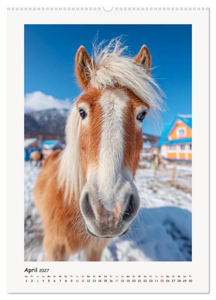 Produktbild: Berge und M&auml;hnen. Haflinger zwischen Alm, Sonne und Freiheit (Wandkalender 2027 DIN A2 hoch), CALVENDO Monatskalender
