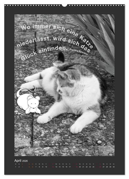 Produktbild: Katz & Maus (Wandkalender 2026 DIN A2 hoch), CALVENDO Monatskalender