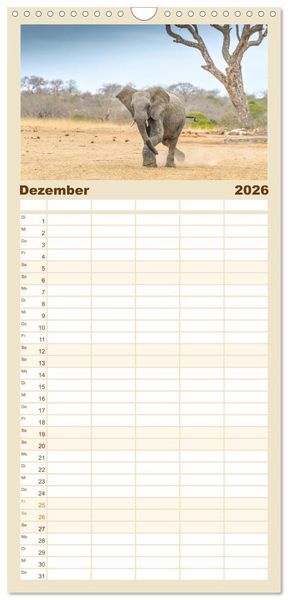Produktbild: Familienplaner 2026 - Babyelefanten mit 5 Spalten (Wandkalender, 21 x 45 cm) CALVENDO