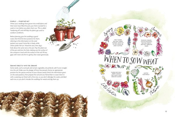 Produktbild: The Magic of Seeds