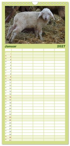 Produktbild: Familienplaner 2027 - Das Leben der Schafe mit 5 Spalten (Wandkalender, 21 x 45 cm) CALVENDO