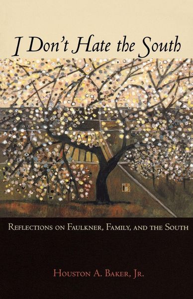 Produktbild: I Don't Hate the South