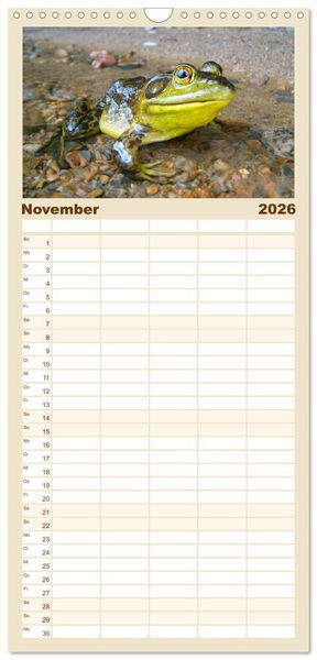 Produktbild: Familienplaner 2026 - Fr&ouml;sche - Die wundersch&ouml;ne Welt der bunten H&uuml;pfer. mit 5 Spalten (Wandkalender, 21 x 45 cm) CALVENDO