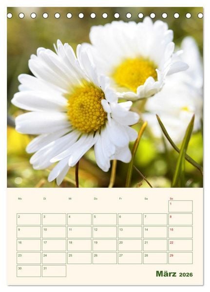 Produktbild: Vertr&auml;umte G&auml;nsebl&uuml;mchen (Tischkalender 2026 DIN A5 hoch), CALVENDO Monatskalender