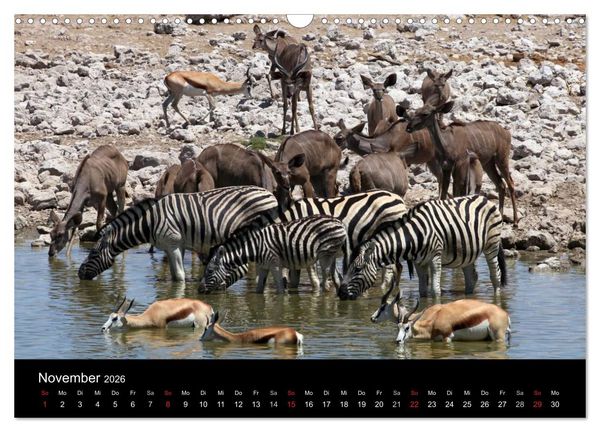 Produktbild: Eindr&uuml;cke aus Namibia (Wandkalender 2026 DIN A3 quer), CALVENDO Monatskalender