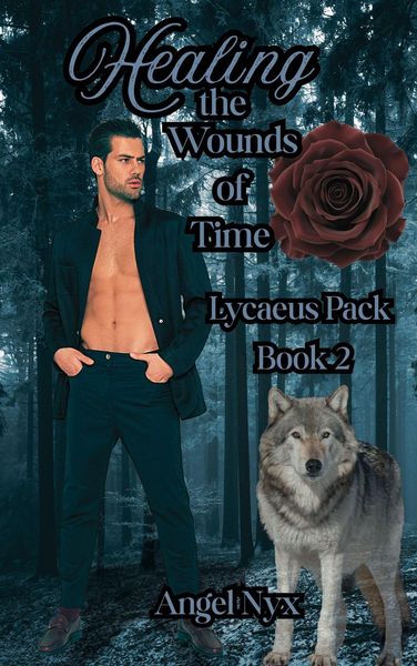 Produktbild: Healing the Wounds of Time: Lycaeus Pack Book 2
